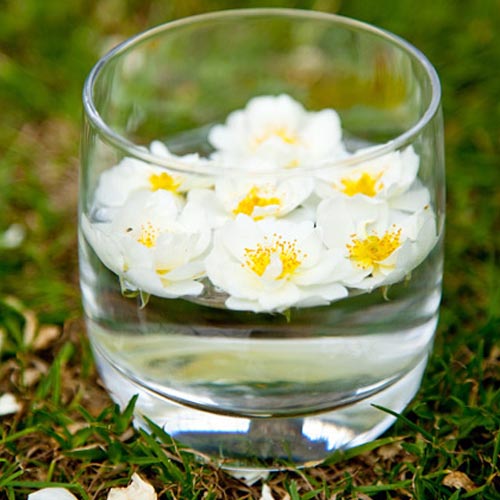 preparazione dei fiori di bach